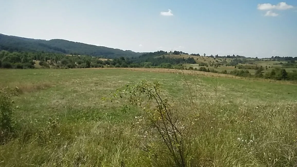 Οικόπεδο Προς πώληση - 2236 the village Chibaovtsi BG Image 3